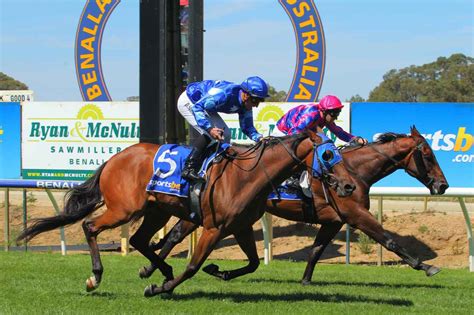 nz harness racing today.